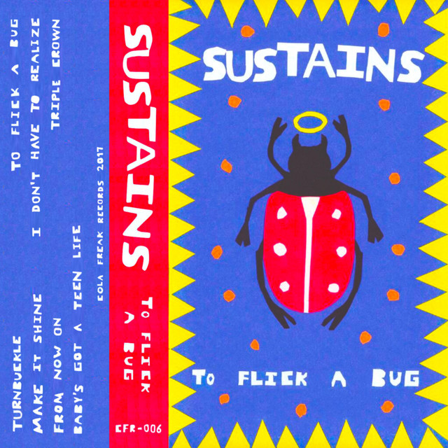 To Flick a Bug cover art