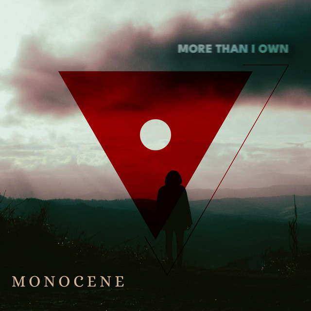 More Than I Own cover art