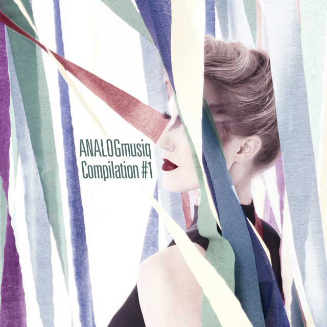 ANALOGmusiq Compilation #1 cover