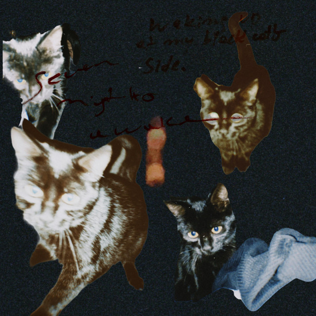 Waking Up By My Black Cat's Side cover art
