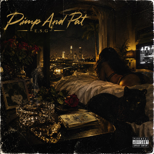 PIMP AND PAT album image