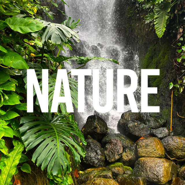 Nature cover art