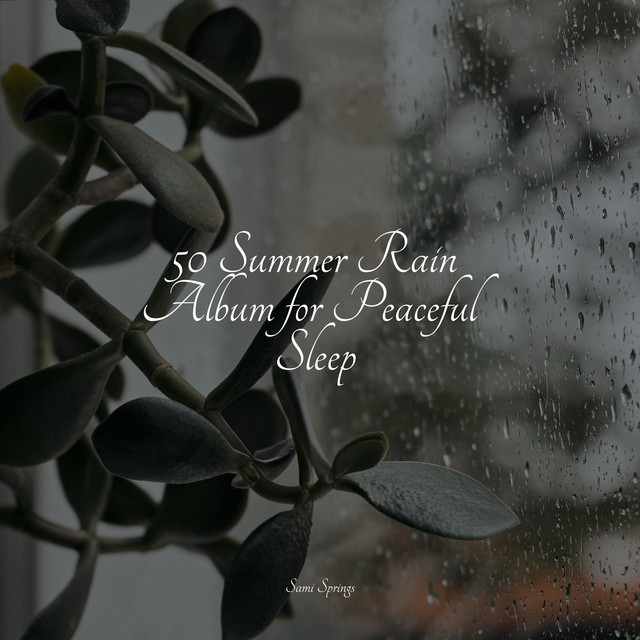 50 Summer Rain Album for Peaceful Sleep - Album by Musica Para Dormir y ...