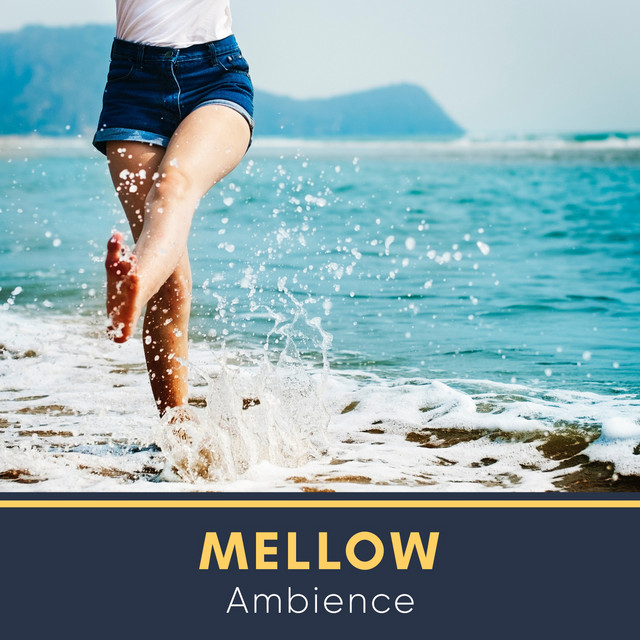 Mellow Ambience, Vol. 4 - Compilation by Various Artists | Spotify