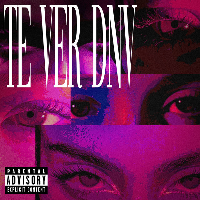 te ver dnv cover art