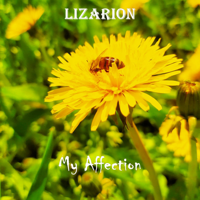 My Affection cover art