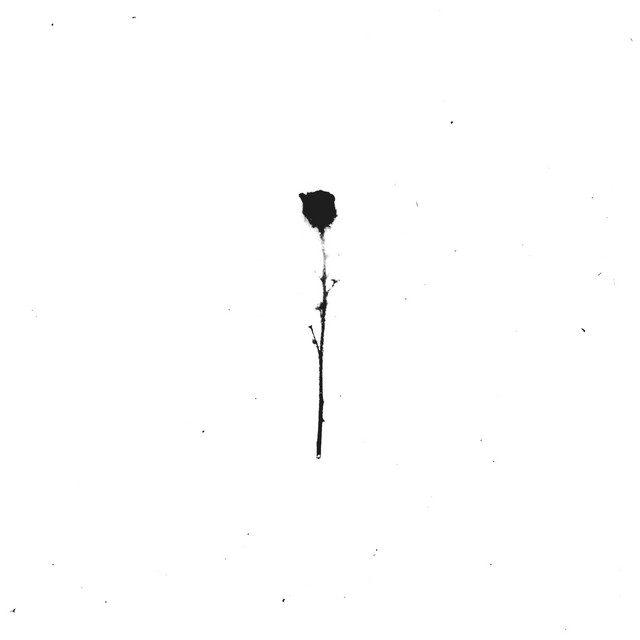 One cover art