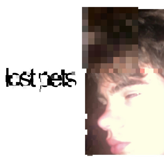 lost pets cover art