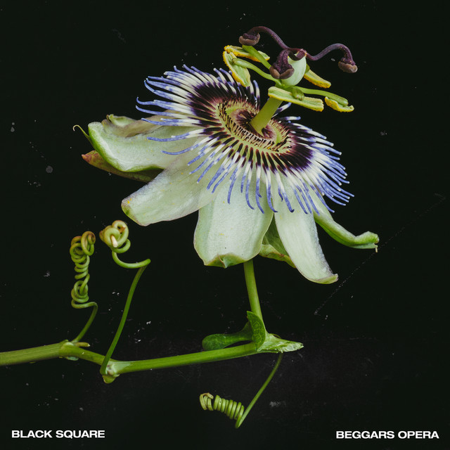 Beggars Opera cover art