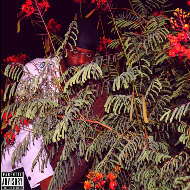 WAIT cover art