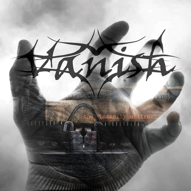 The Insanity Abstract cover