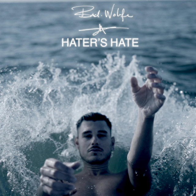 Hater's Hate cover