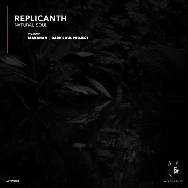 Natural Soul - Dark Soul Project Remix album art