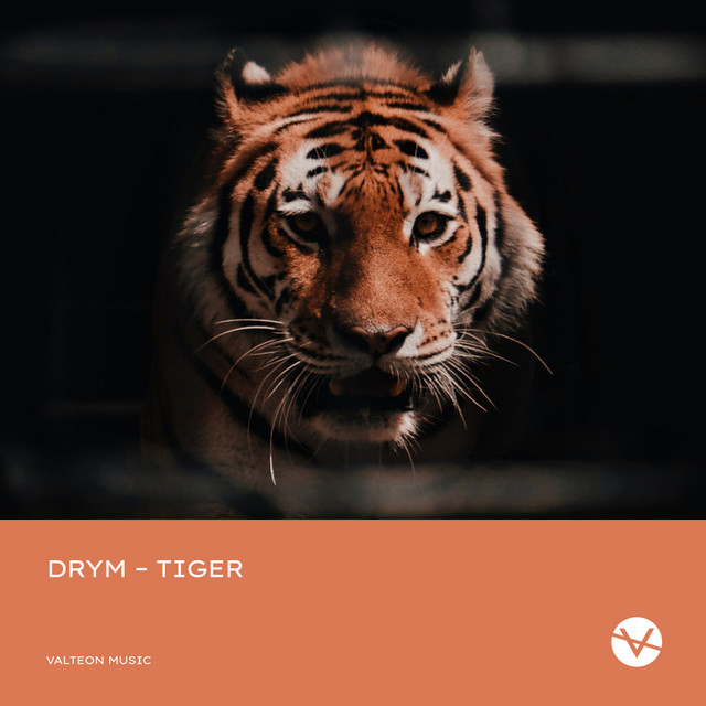 Обкладинка DRYM — Tiger