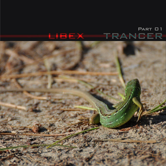 Trancer - Overdub 90’s Theme Remix cover art