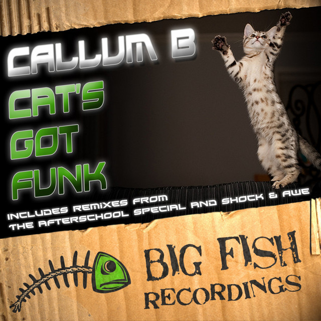 Cat's Got Funk - Original Mix cover art