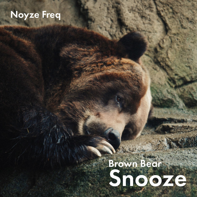 Brown Bear Snooze by Noyze Freq