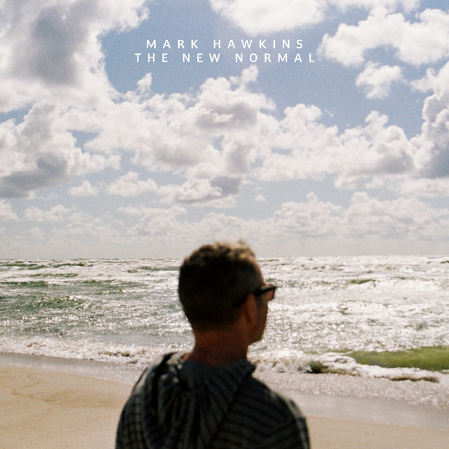 The New Normal cover art