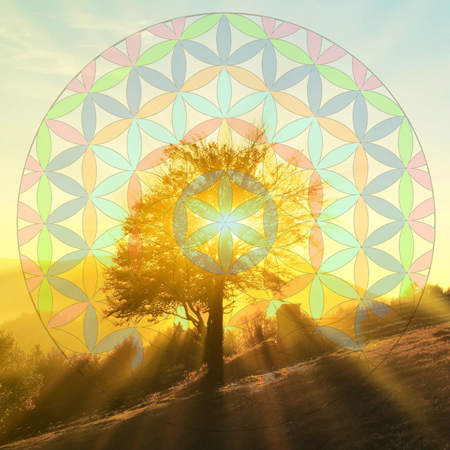 Being Present - Sunshine Mix