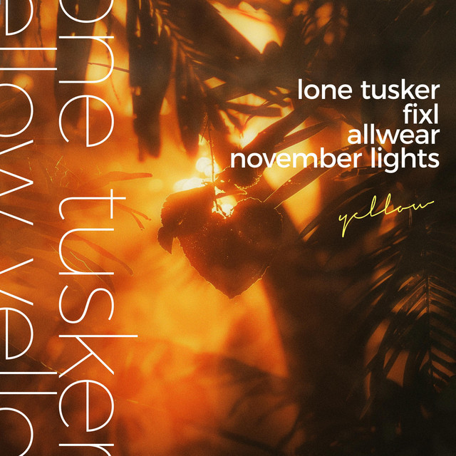 November Lights
