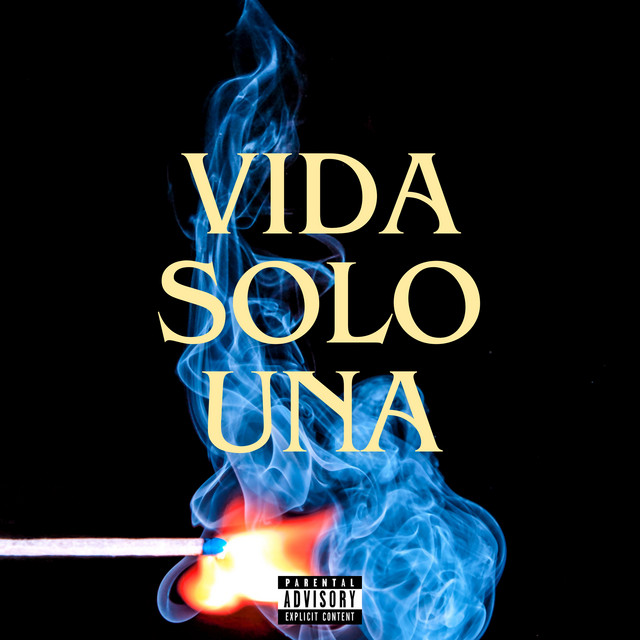 Vida Solo Una