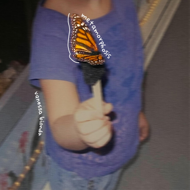 metamorphosis cover art
