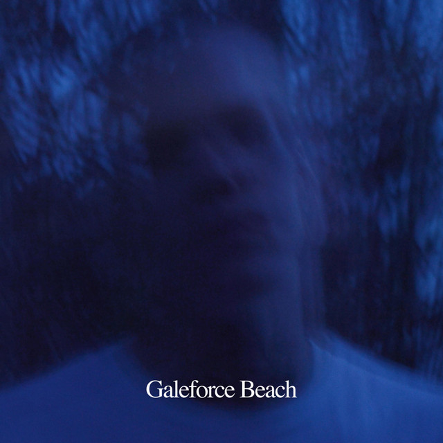 Galeforce Beach cover