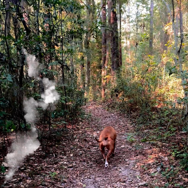 W&b Trail