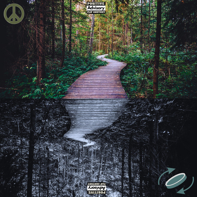 Flip cover art