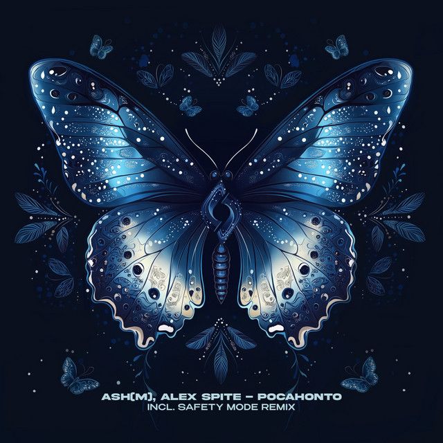Pocahonto - Extended Mix album art