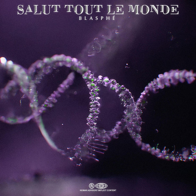 Salut tout le monde ! cover art