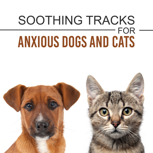 Soothing Tracks for Anxious Dogs and Cats (Background for Animals to Be Calm while Alone, During the Fireworks Night and Loud Noises) cover art