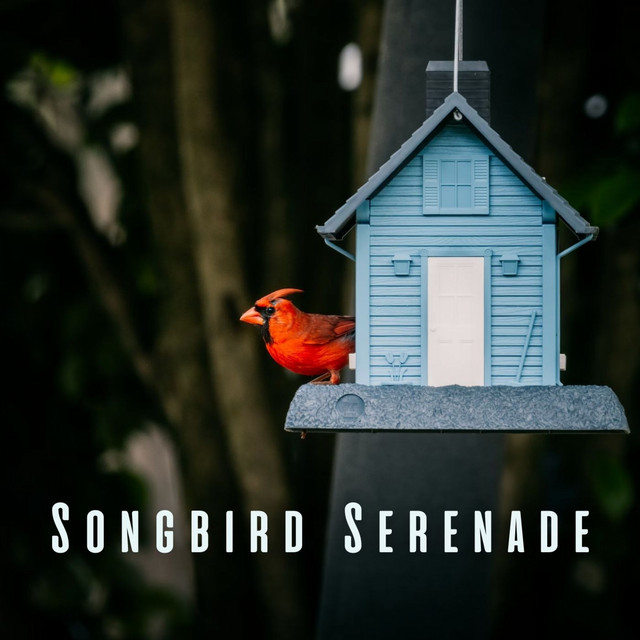 Songbird Serenade: Meditative Bird Sounds for Inner Calm ASMR cover art