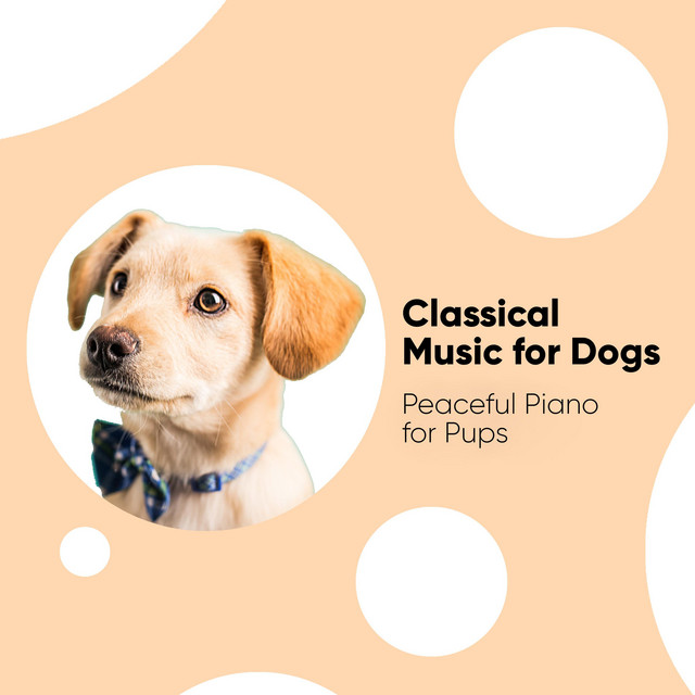 Classical Music for Dogs: Peaceful Piano for Pups cover art