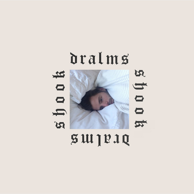 Shook cover art