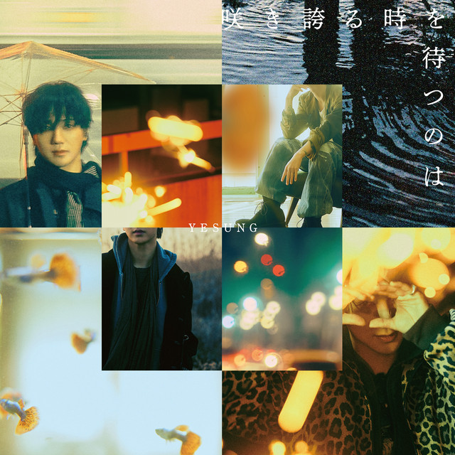 YESUNG 咲き誇る時を待つのは アルバム 4種セット　新品未開封 咲き誇る時を待つのは - Album by YESUNG | Spotify