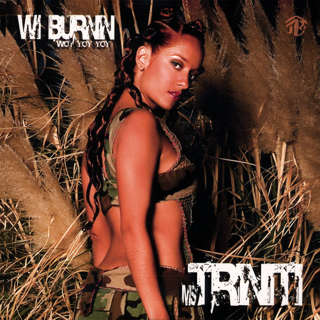 Wi Burnin (Woy Yoy Yoy) cover art