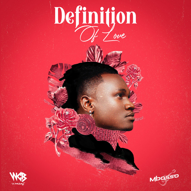 Definition of Love cover art