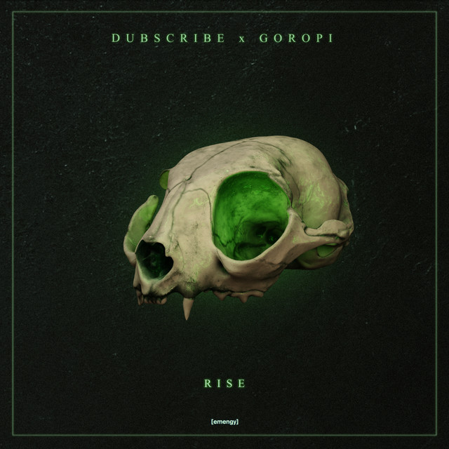 Rise album art