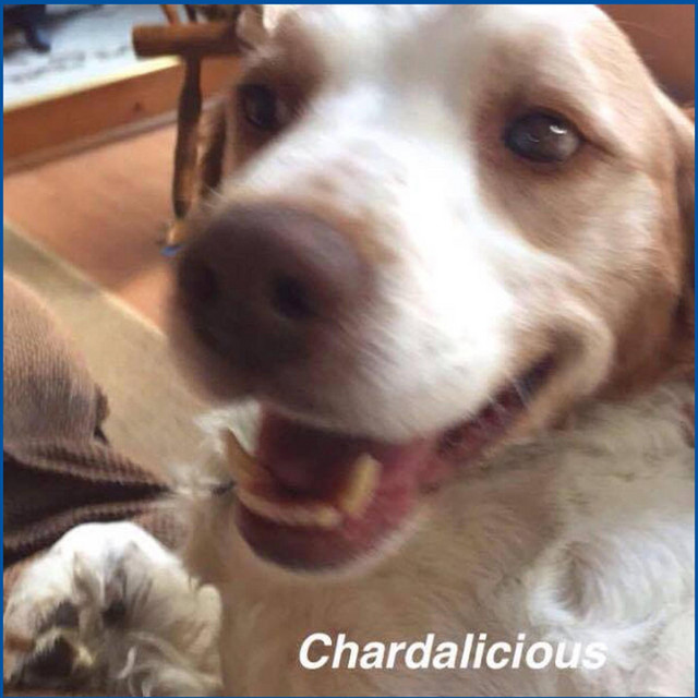 Chardalicious cover art