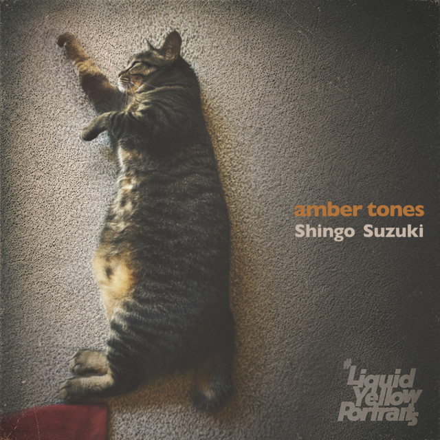 amber tones cover