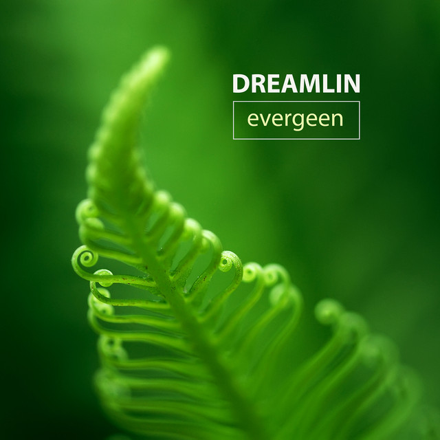 Evergreen cover art