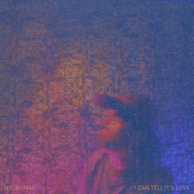 I Can Tell It's Love album image