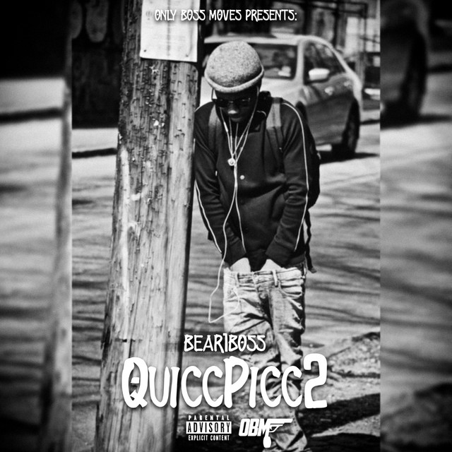 Quicc Picc 2 cover art