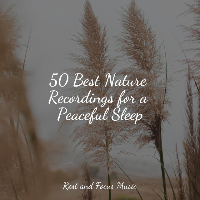 50 Best Nature Recordings for a Peaceful Sleep - Album by ...