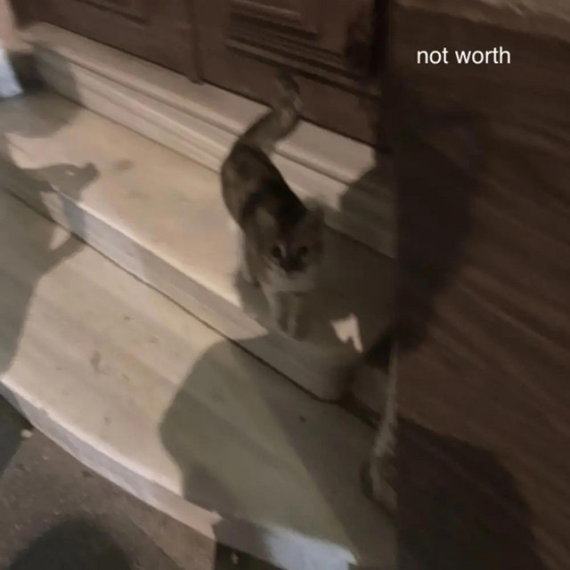 worthless cover art