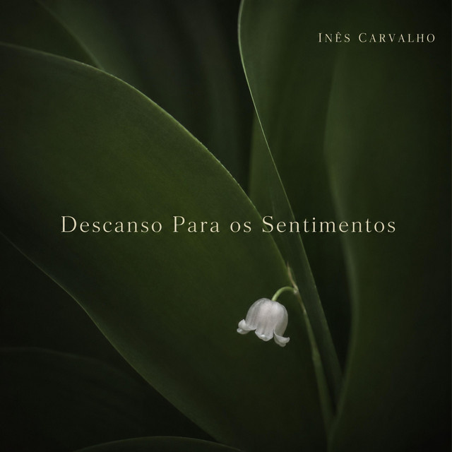 Descanso Para os Sentimentos