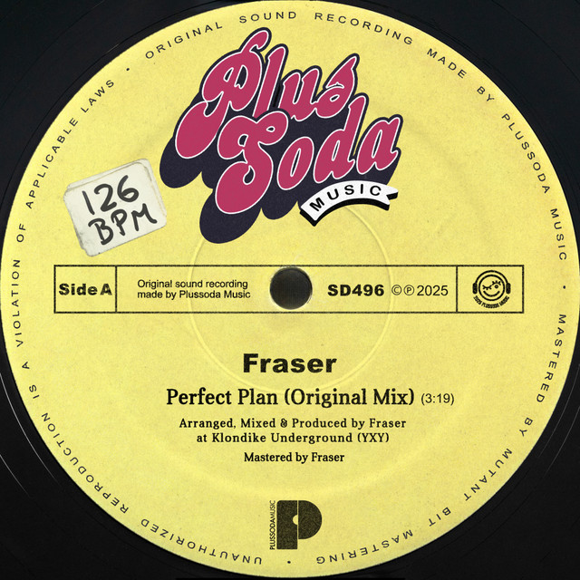 Perfect Plan - Extended Mix album art