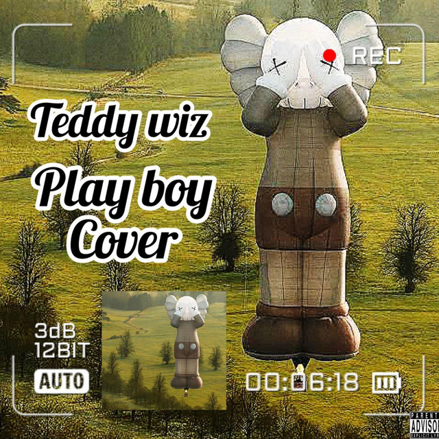 Playboy cover art