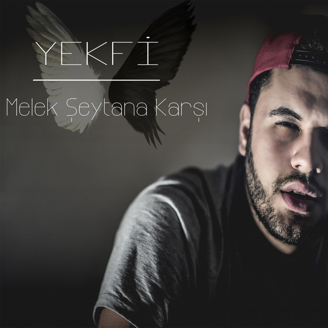 Destek Gerekli 2016 cover art